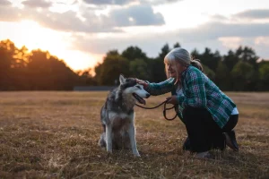 How to Choose Pet Memorial Services A Complete Guide for Photographers