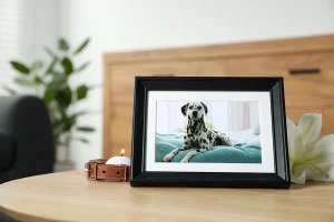 How to choose pet memorial services