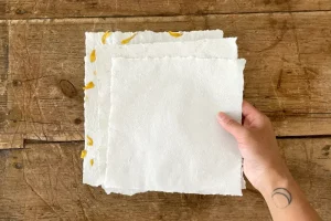 Benefits of using biodegradable napkins